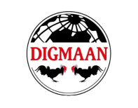 Digmaan
