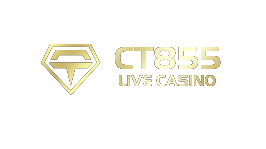 CT855